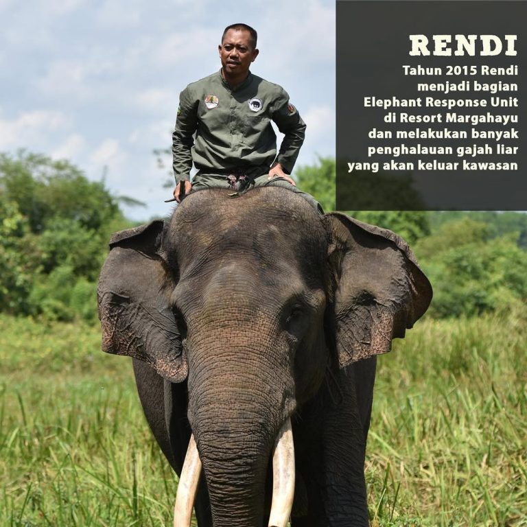 SaveClip.App_305524894_1606328383102488_3857365953584957010_n