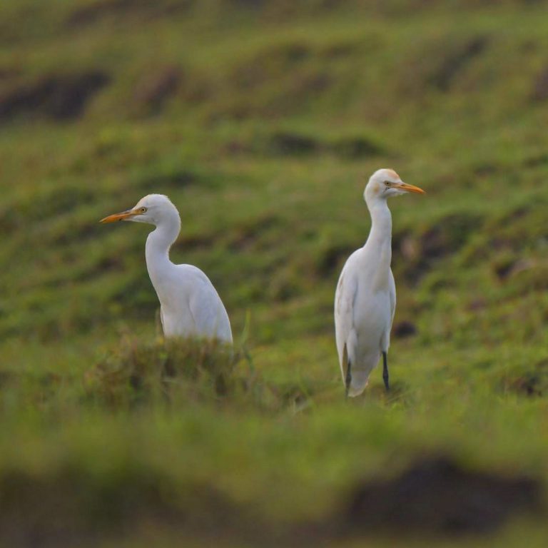 SaveClip.App_305533591_639670137594075_3805320665760497244_n