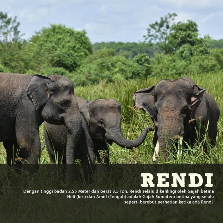 SaveClip.App_305763757_7925387310865593_6949956472414021224_n