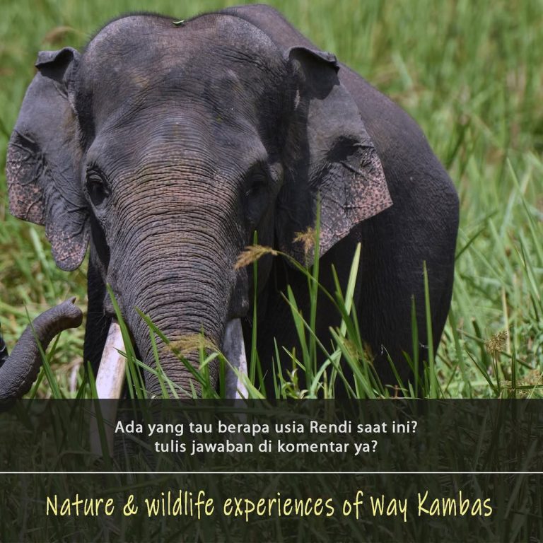 SaveClip.App_305815553_639257664436304_6196219650467147044_n