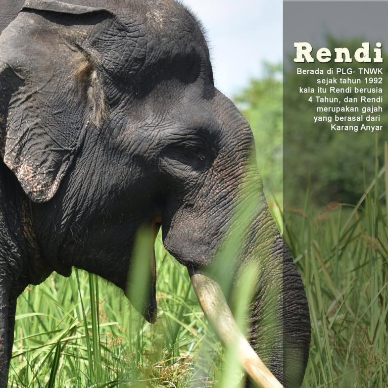 SaveClip.App_305946134_601523261636682_2068969312139213140_n