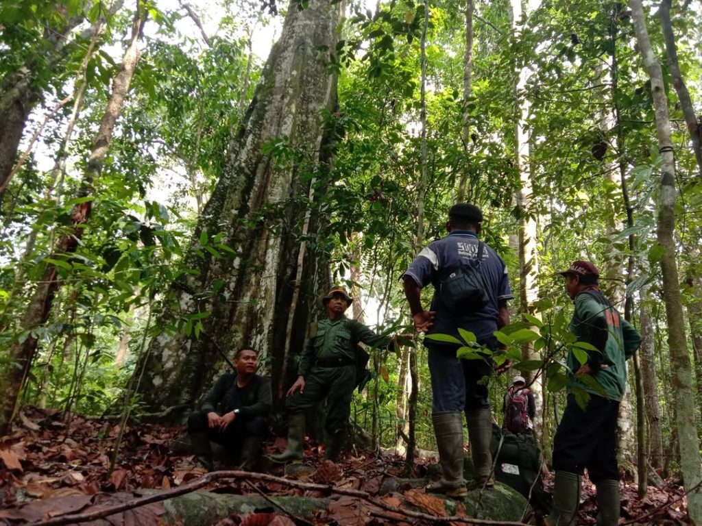 SaveClip.App_309951923_202961622163351_4302062223866825624_n