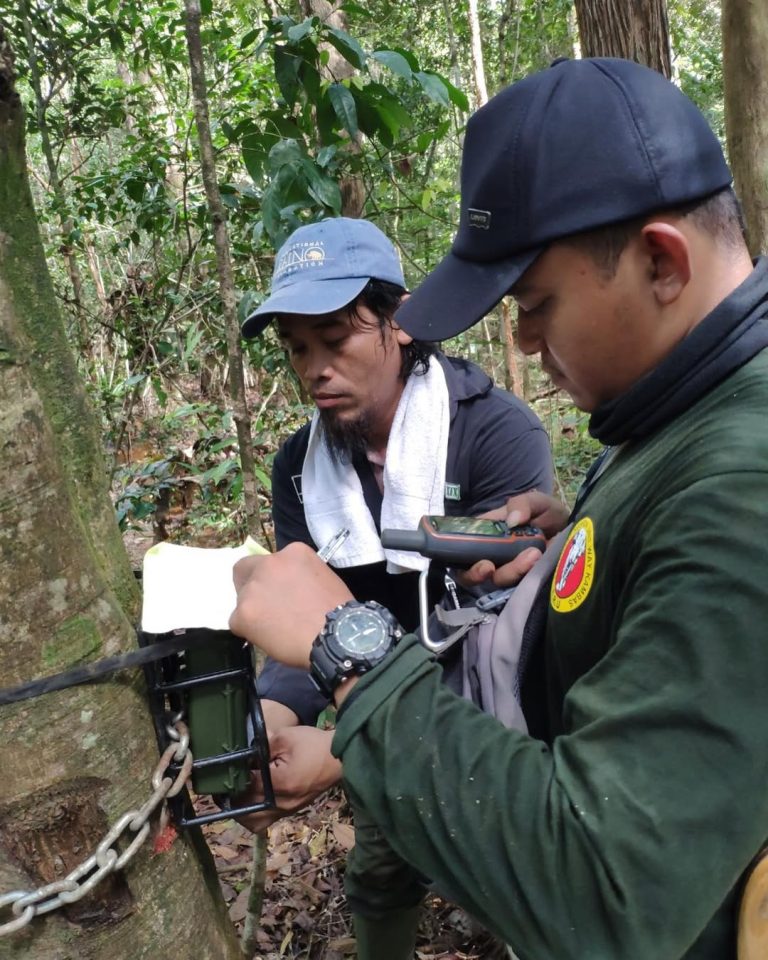 SaveClip.App_310071857_648417600292049_689345605903596539_n