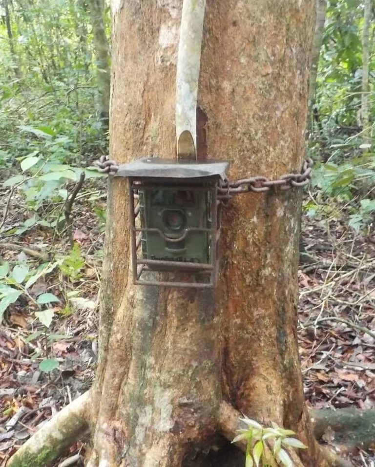 SaveClip.App_310180337_808930830382071_5756759647865054666_n