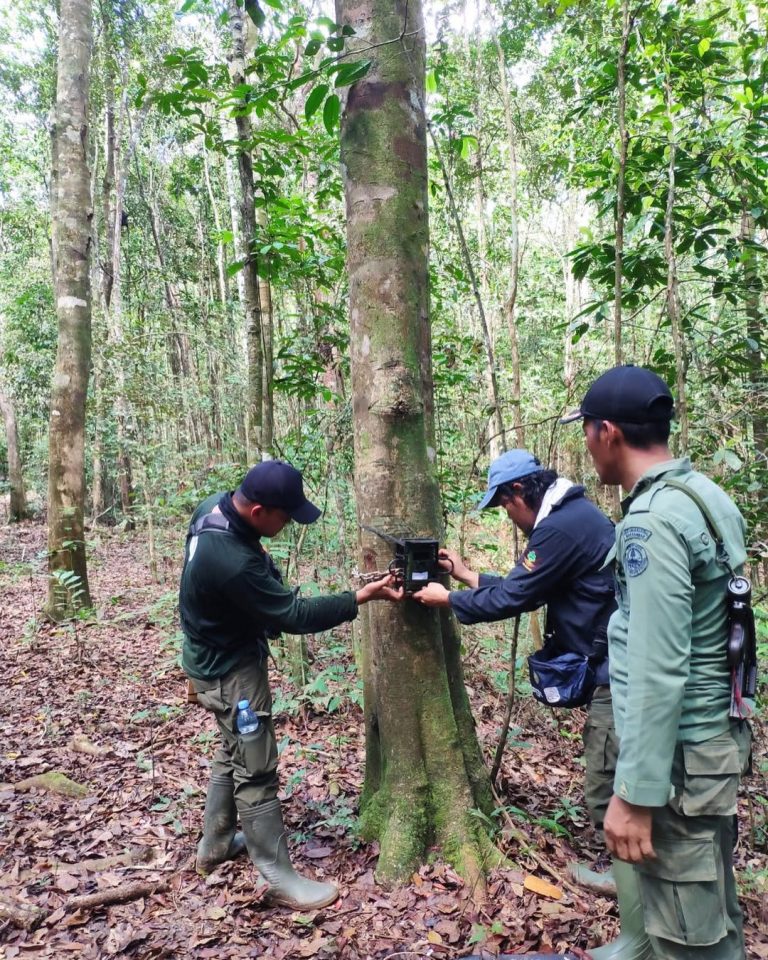 SaveClip.App_310182373_108148925321829_395747643968805432_n