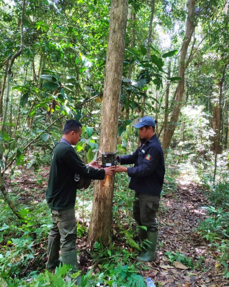 SaveClip.App_310329298_1439081479903235_4885473218576335454_n