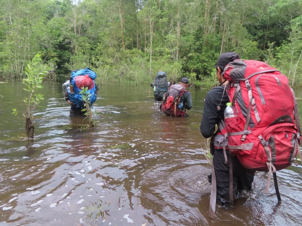 SaveClip.App_310355072_784577799546966_4180085397359788081_n