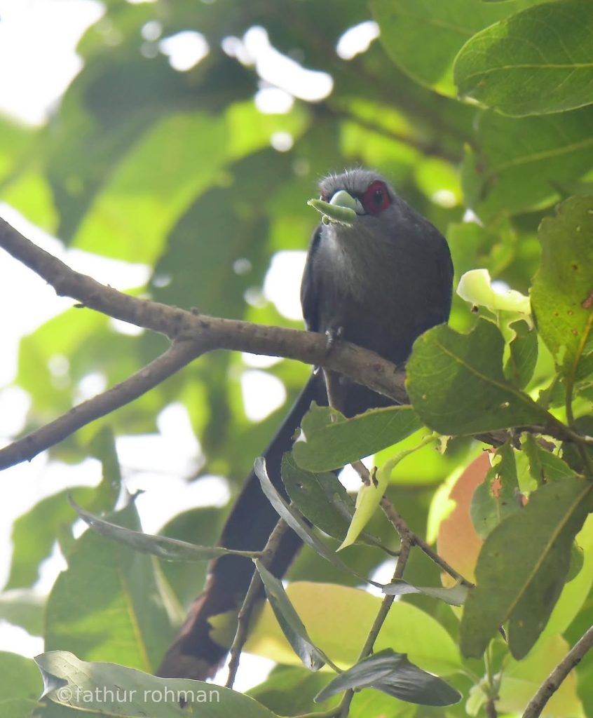 SaveClip.App_310518445_505066254465651_216234297028981815_n