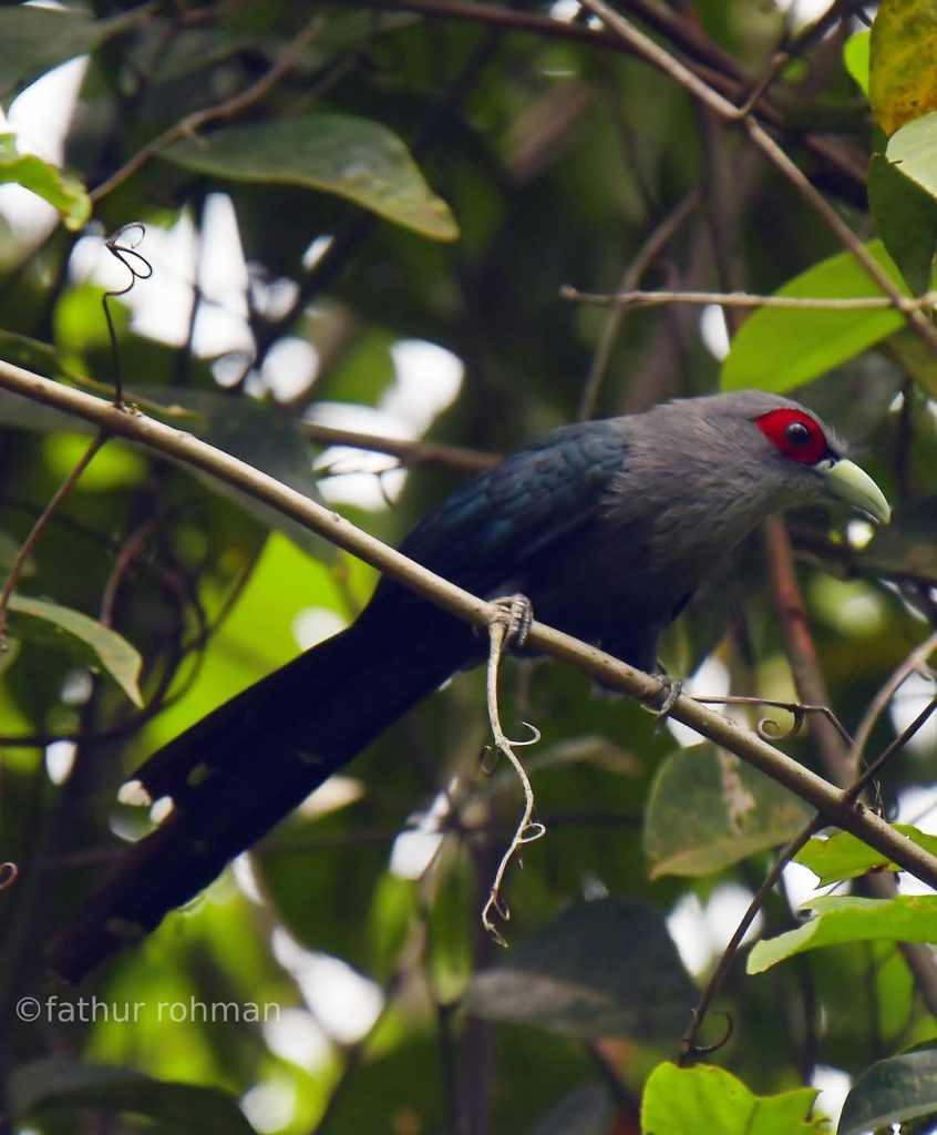 SaveClip.App_310564830_223484220004533_4191582418336377526_n