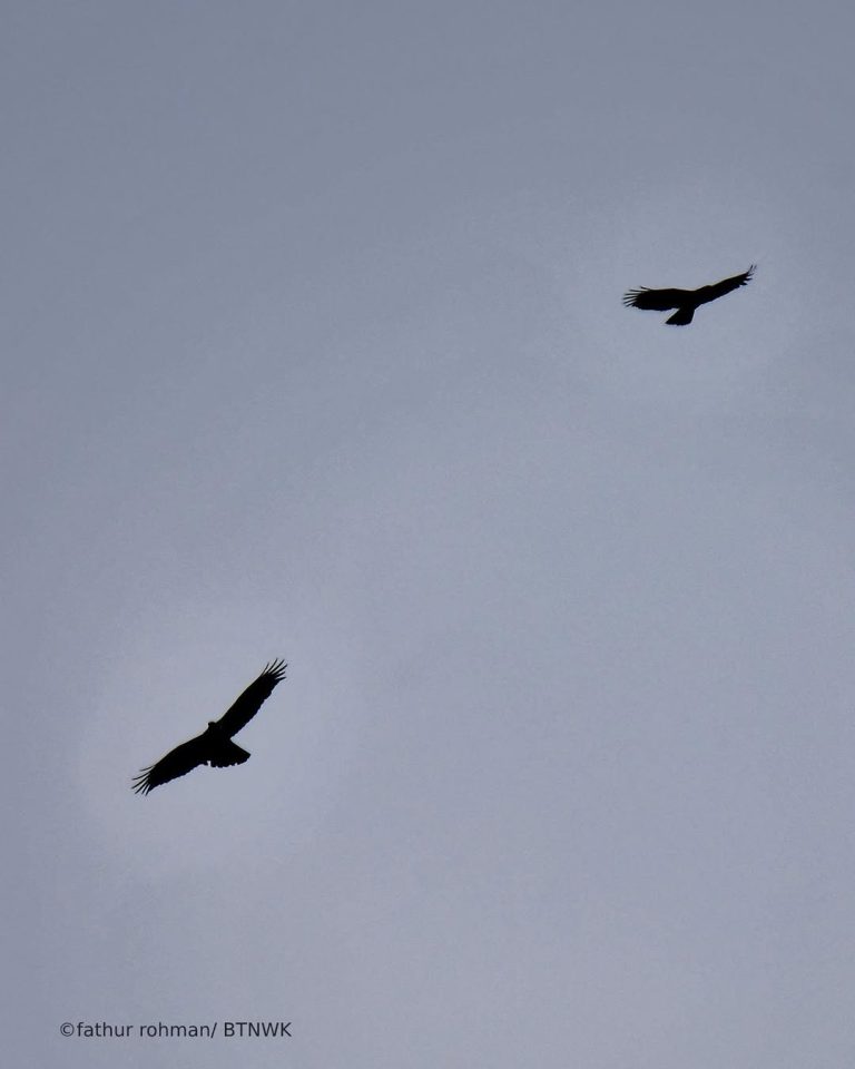 SaveClip.App_311302173_509466850710153_6970538872979663505_n