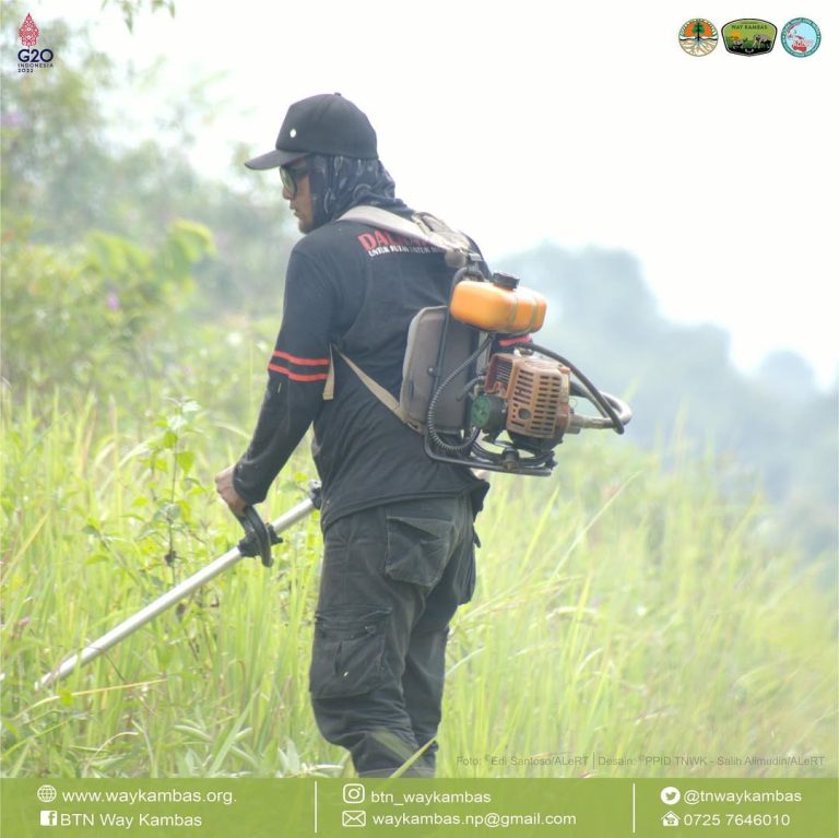 SaveClip.App_311750117_828236025279111_3999834299541173649_n (1)