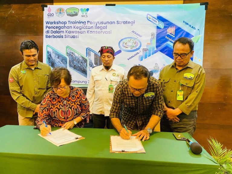 SaveClip.App_312770378_391649303064034_2855591044309167825_n