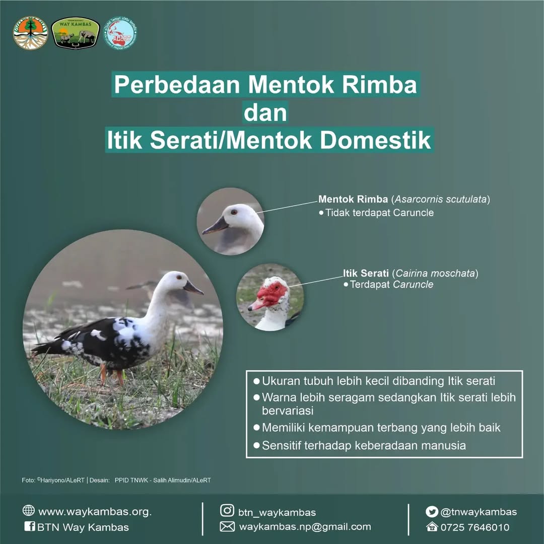 SaveClip.App_319101346_687694046064041_1564742998786659371_n