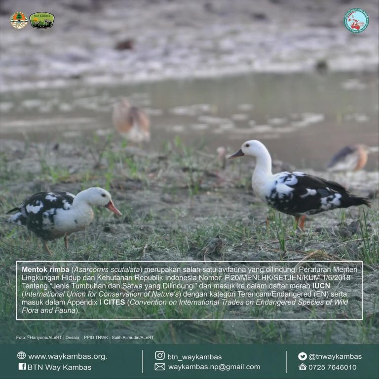 SaveClip.App_319550147_675176604161519_4586625827991763628_n