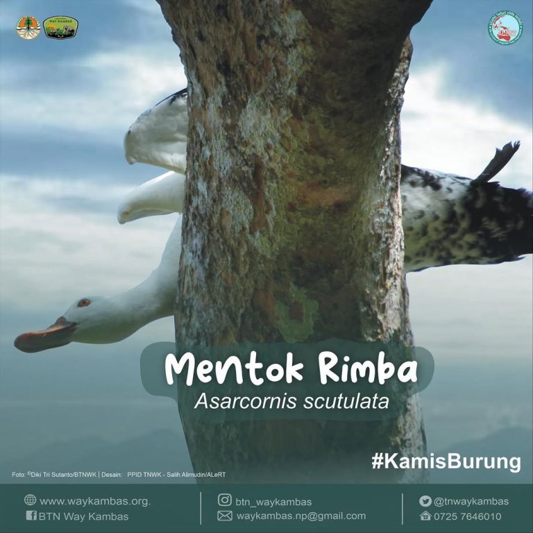 SaveClip.App_319631424_878091189994805_6987321430477320890_n