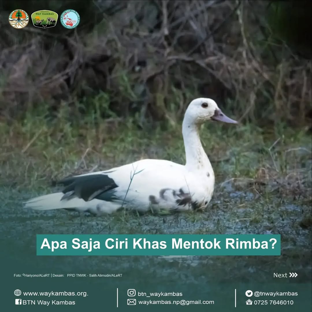 SaveClip.App_320044997_1625146591271983_406218951522662736_n