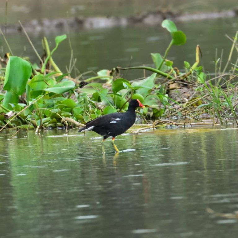 SaveClip.App_328150979_764879891280009_6485496672986600503_n