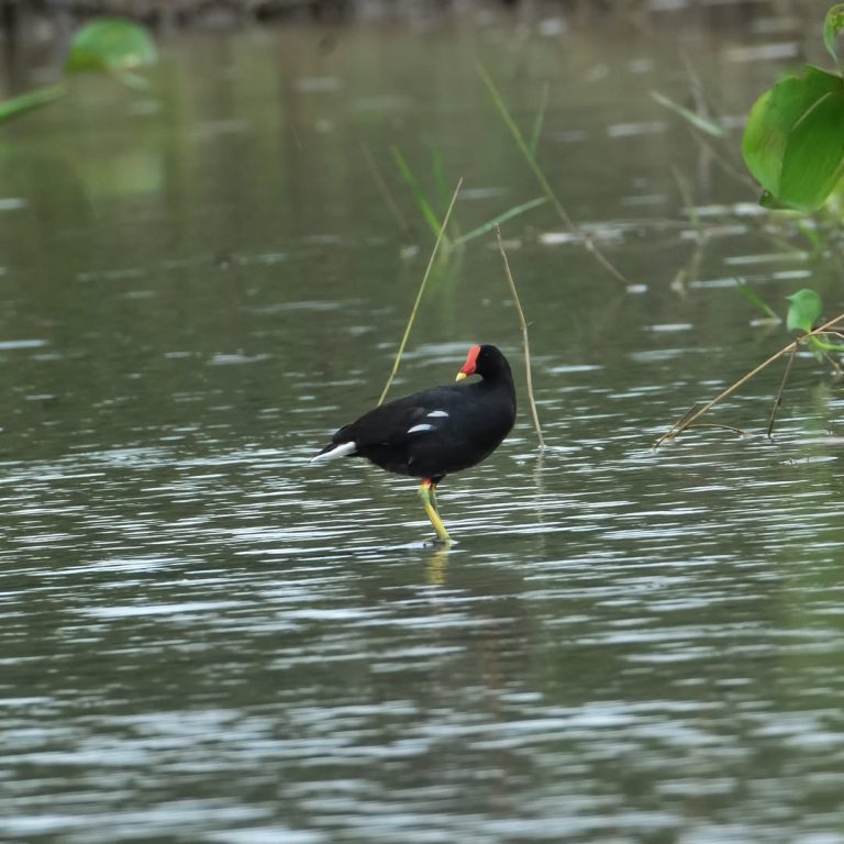 SaveClip.App_328172870_928086158193386_6481081335244660310_n