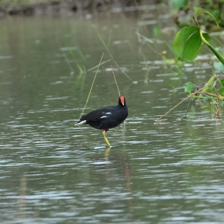 SaveClip.App_328398149_211120381466801_7997147671816433414_n