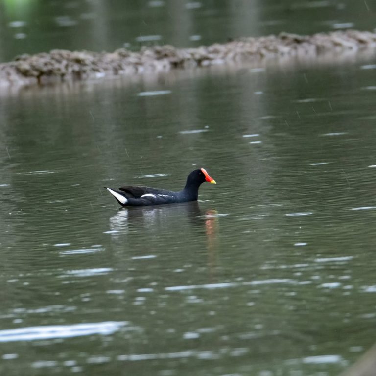 SaveClip.App_328736116_3317515351835066_3777597196234276482_n