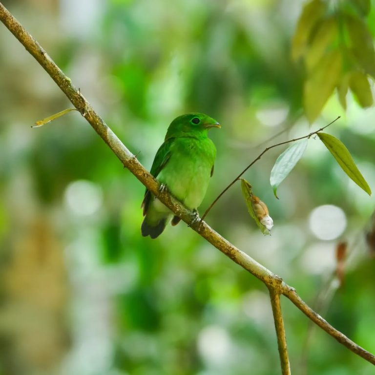 SaveClip.App_329574505_9056208087753069_1058430916313681858_n