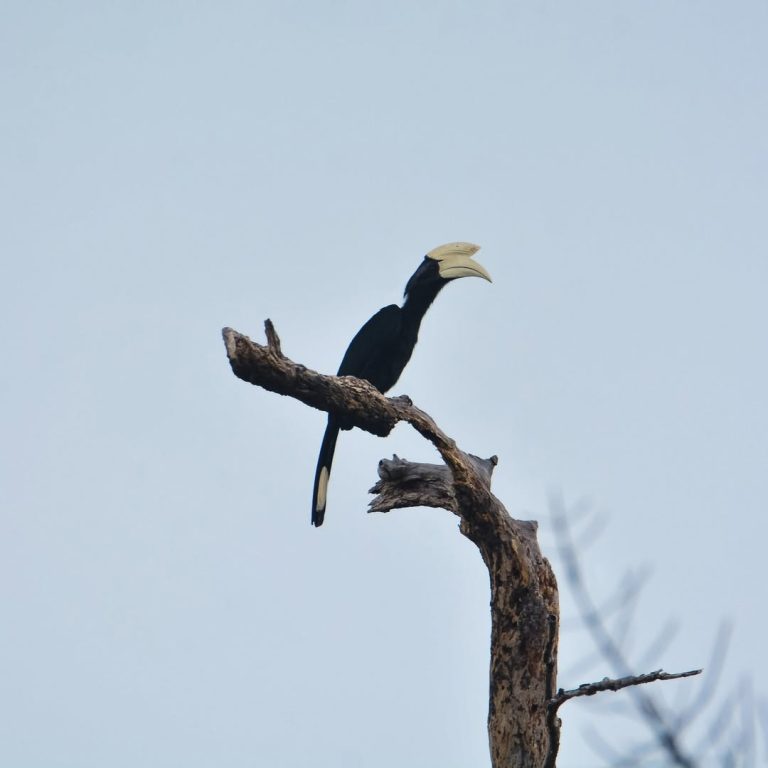 SaveClip.App_331156078_577716274262849_6302384584841263975_n