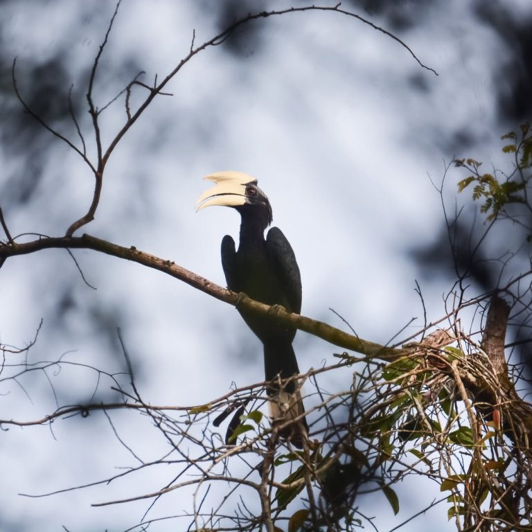 SaveClip.App_331467255_147856544783299_3466511744534170772_n