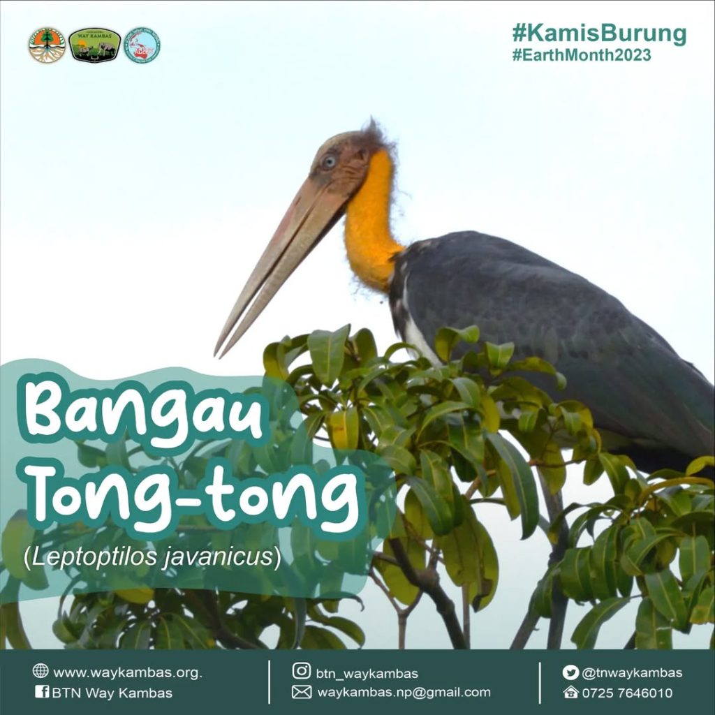 SaveClip.App_339478728_1081247743264830_3385634487204775065_n