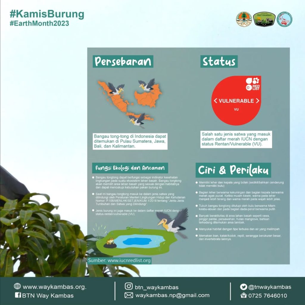 SaveClip.App_339677998_226906680007373_5336214490007516788_n