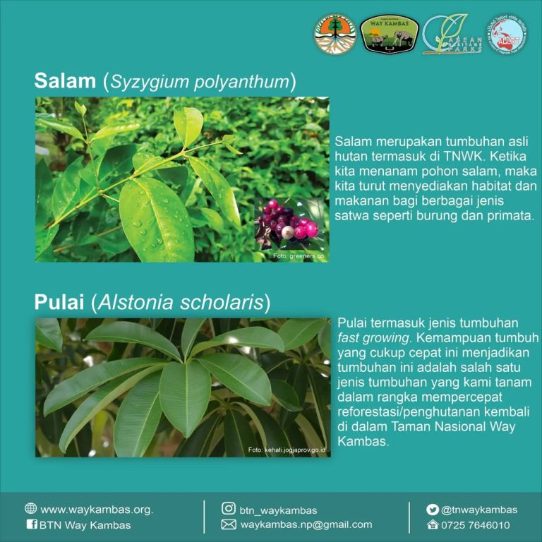 SaveClip.App_341768844_1229936340962065_6709888415104076446_n