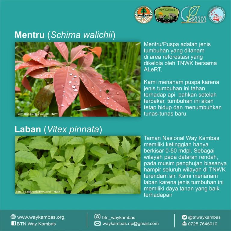 SaveClip.App_341827676_3372957442926406_4409882565728737550_n