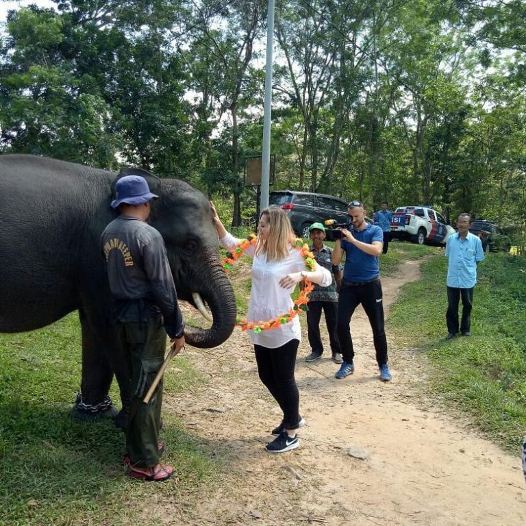 SaveClip.App_34983320_241713373222457_7033021948066004992_n