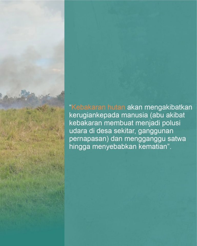 SaveClip.App_354034008_1457887218316698_7072862293119723147_n