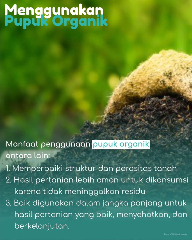 SaveClip.App_354193391_980759183079407_4191888267133058976_n