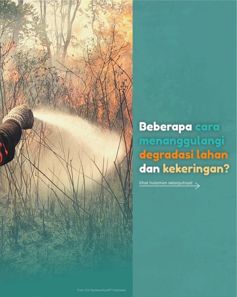 SaveClip.App_354200872_587989773464546_4700202203147839384_n