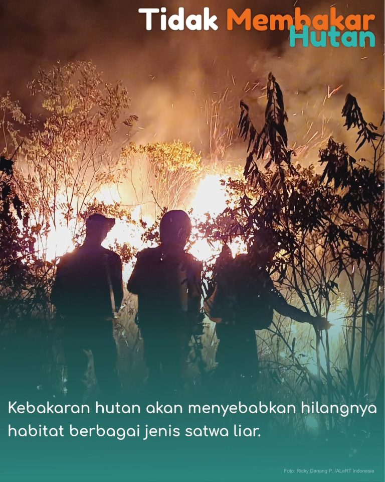 SaveClip.App_354227734_1030122064816794_8270163373397267910_n