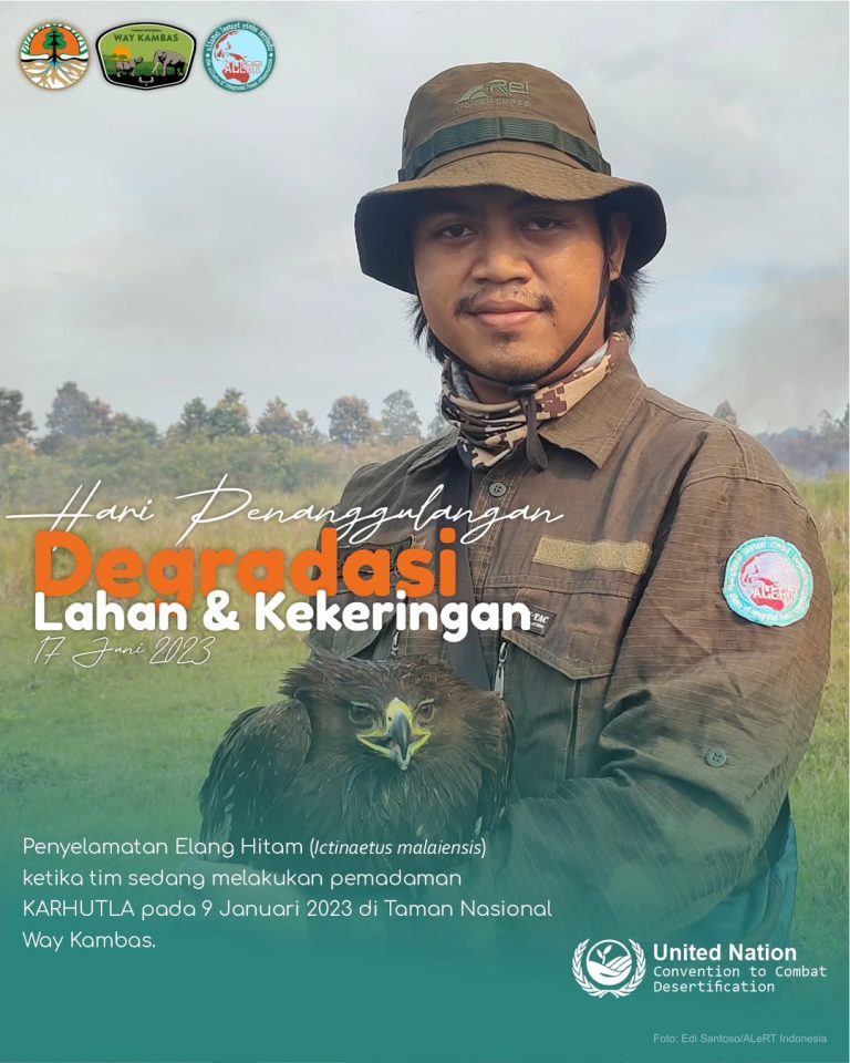 SaveClip.App_354395954_543699851308147_9081135539790742086_n