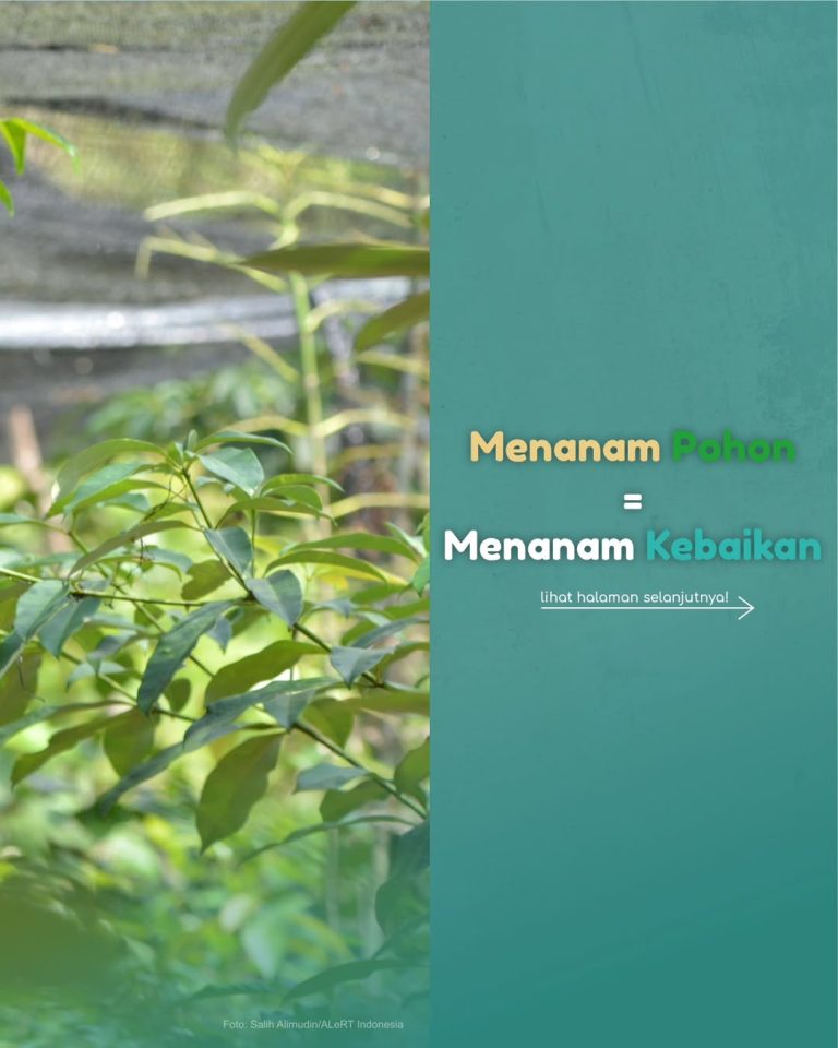 SaveClip.App_354440300_974653740486676_5186233320975912153_n