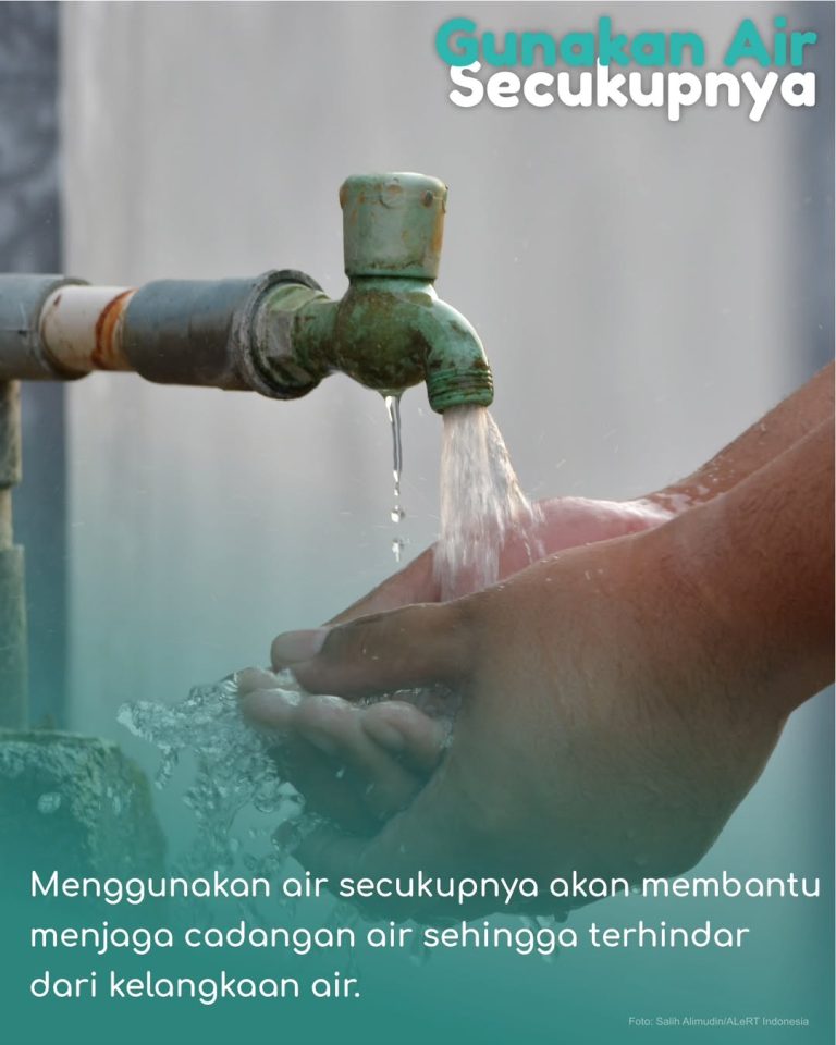 SaveClip.App_354640642_213784844938834_6063849758866035450_n