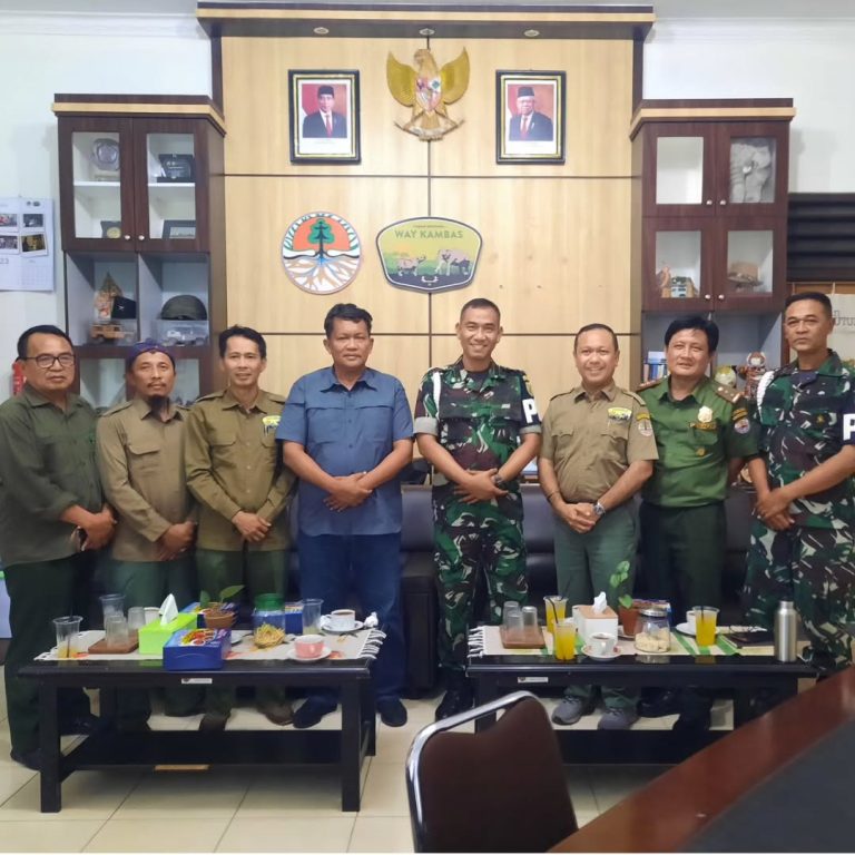 SaveClip.App_357818565_2197162694007274_3308106389645262714_n