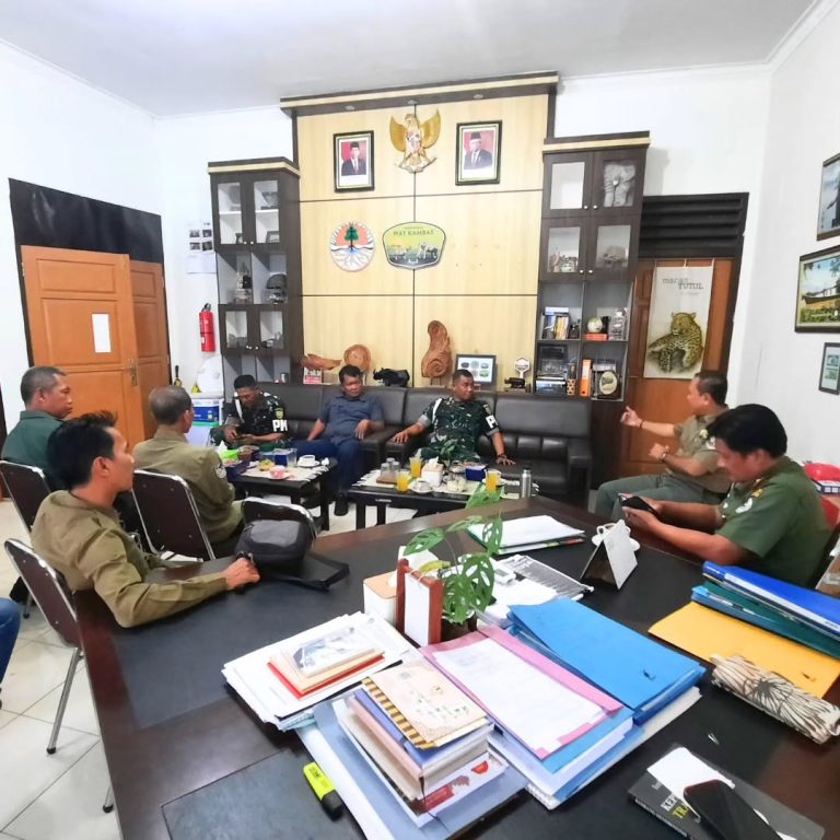 SaveClip.App_358345665_1242191486408533_6637378398477645416_n