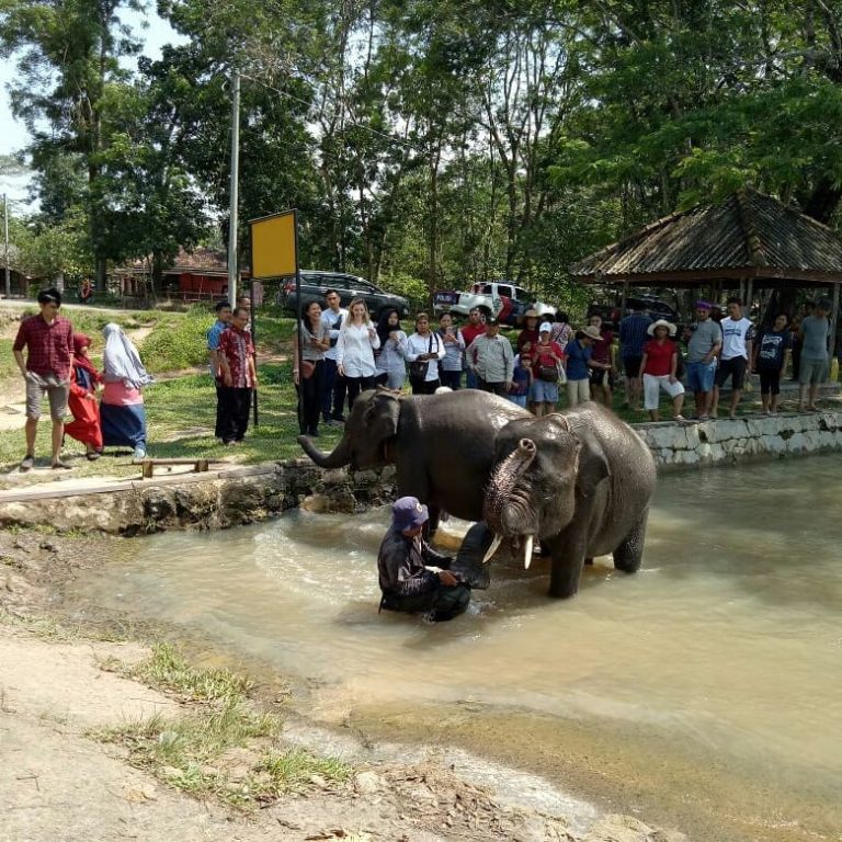 SaveClip.App_35999071_1553552781612929_4419971262588125184_n