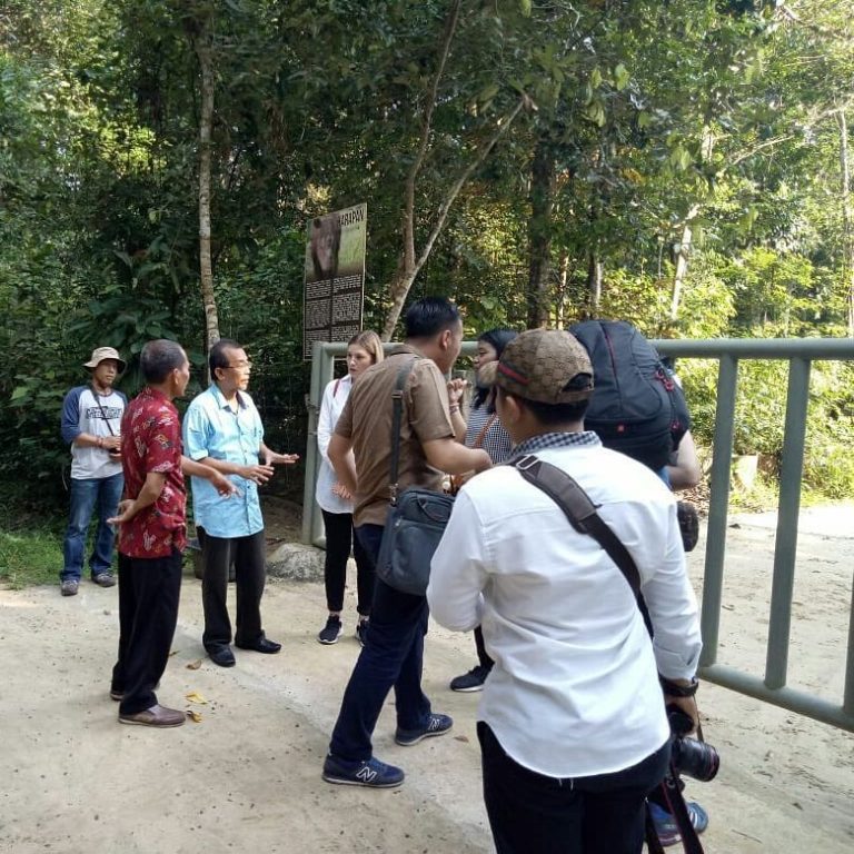 SaveClip.App_36160176_1855166754790380_2089189517180272640_n