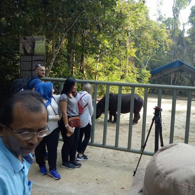 SaveClip.App_36556932_231543810905733_7653850159213707264_n