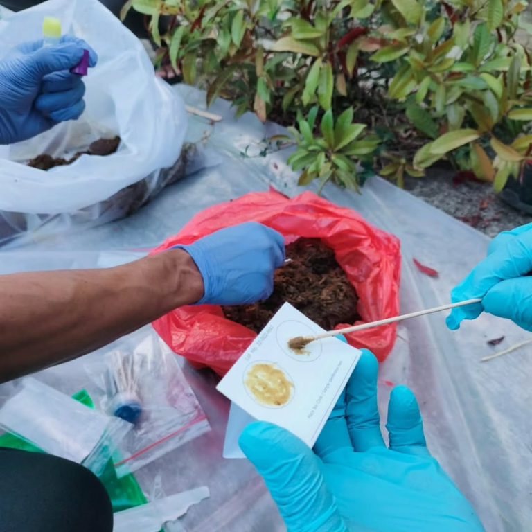 SaveClip.App_373289183_678423477496963_4051784706480936244_n