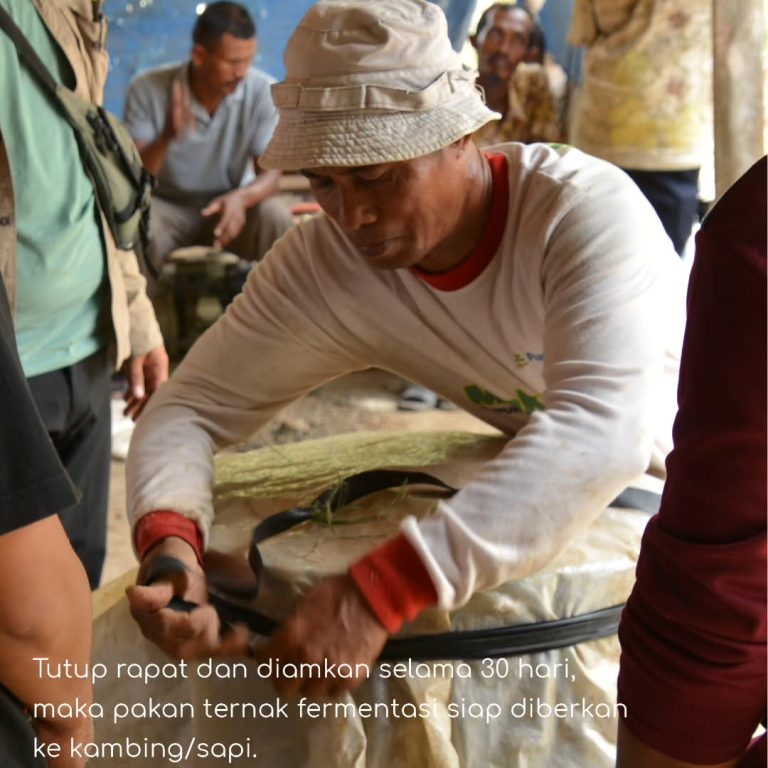 SaveClip.App_379472580_848181646697288_6710830975935076015_n