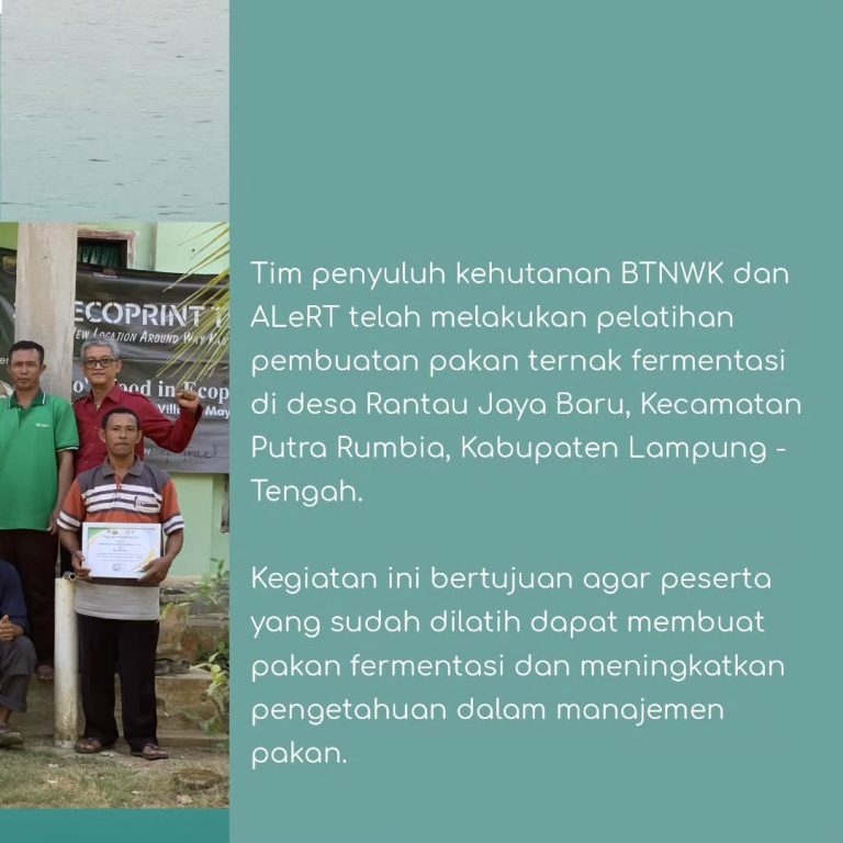 SaveClip.App_379747730_841038844069658_8826685271262152202_n