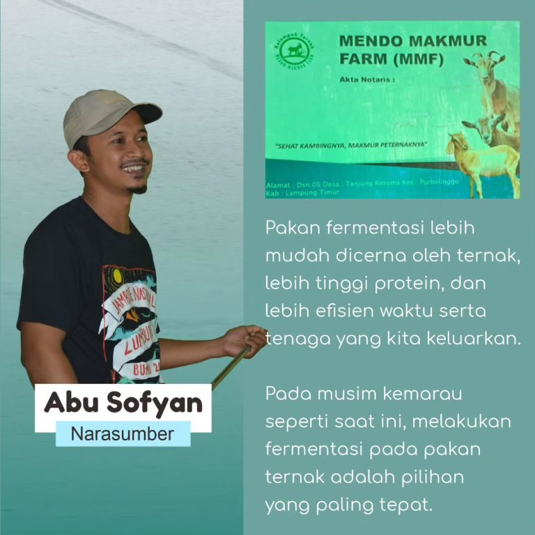 SaveClip.App_379775272_1017820936128371_3061165159982174668_n