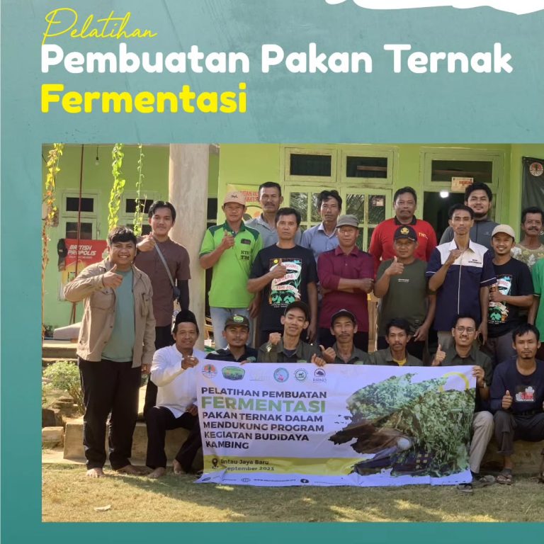 SaveClip.App_379913008_1461400681370926_2768650138697685437_n