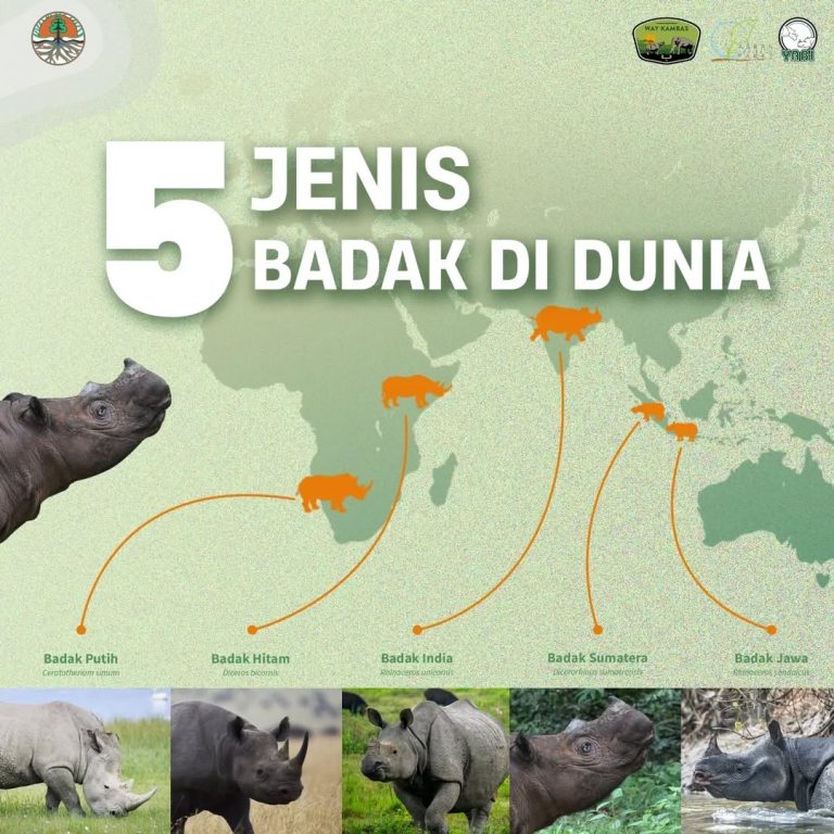 SaveClip.App_383064003_225888400465147_6576771466792203897_n